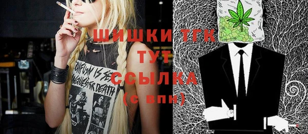 молекула духа Лабытнанги