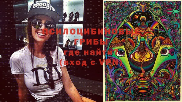 шишки Алексин